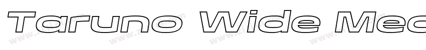 Taruno Wide Med字体转换